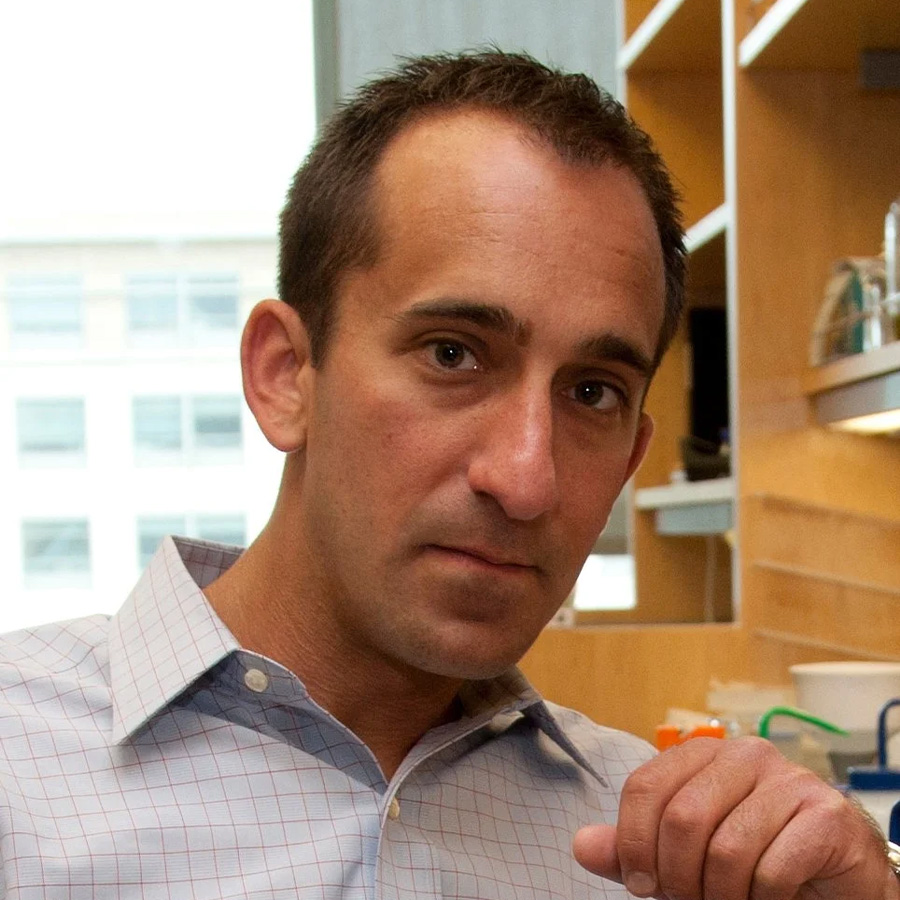 Michael Fischbach Michael Fischbach