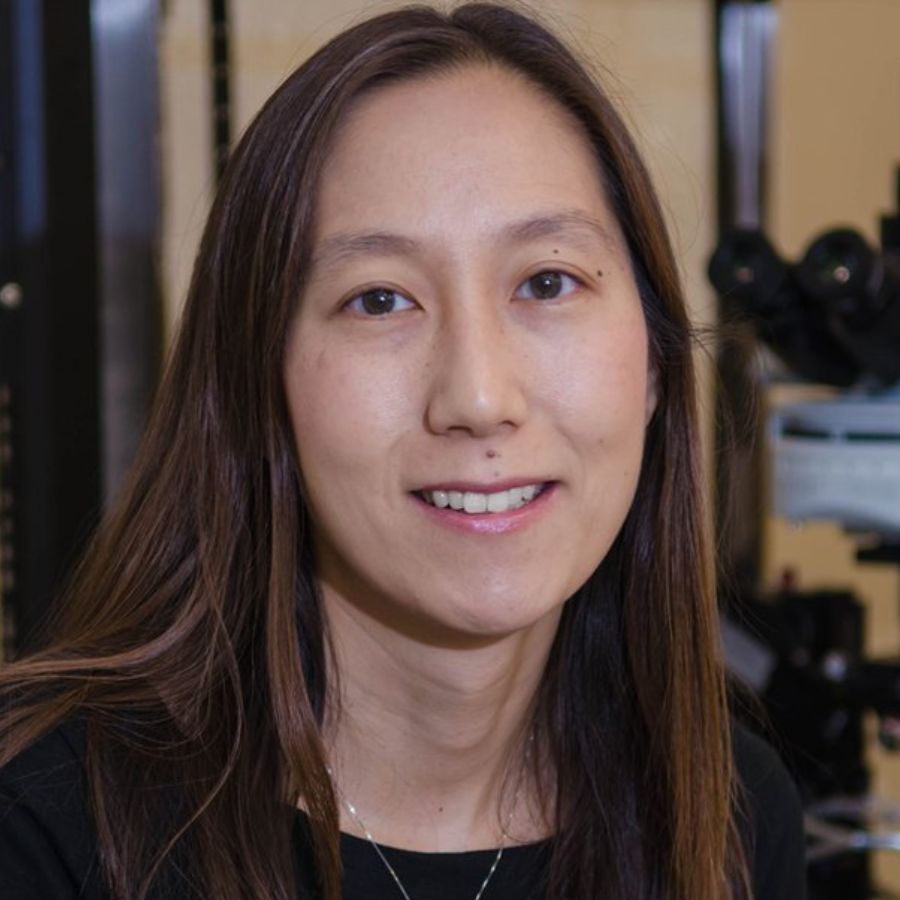 Elizabeth Hong
