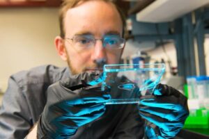 Co-Creator of Expansion Microscopy Wins Prestigious Hertz Foundation Thesis Award