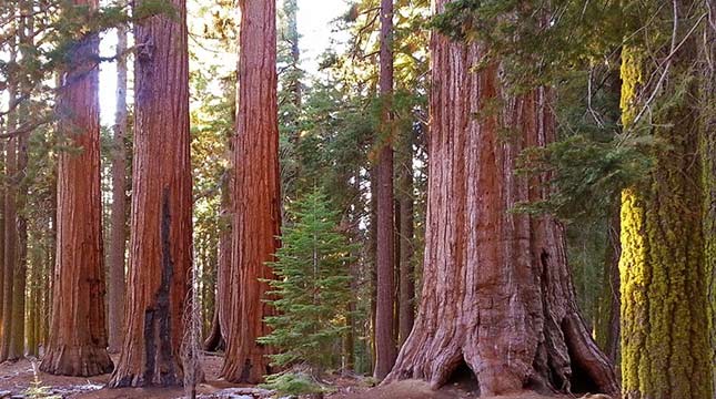 2019 West Coast Retreat