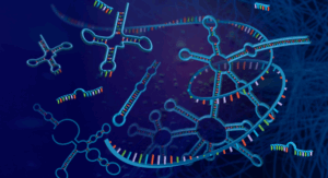Hertz Fellow Launches Biostate AI, Coupling RNA Sequencing and Health-Focused AI