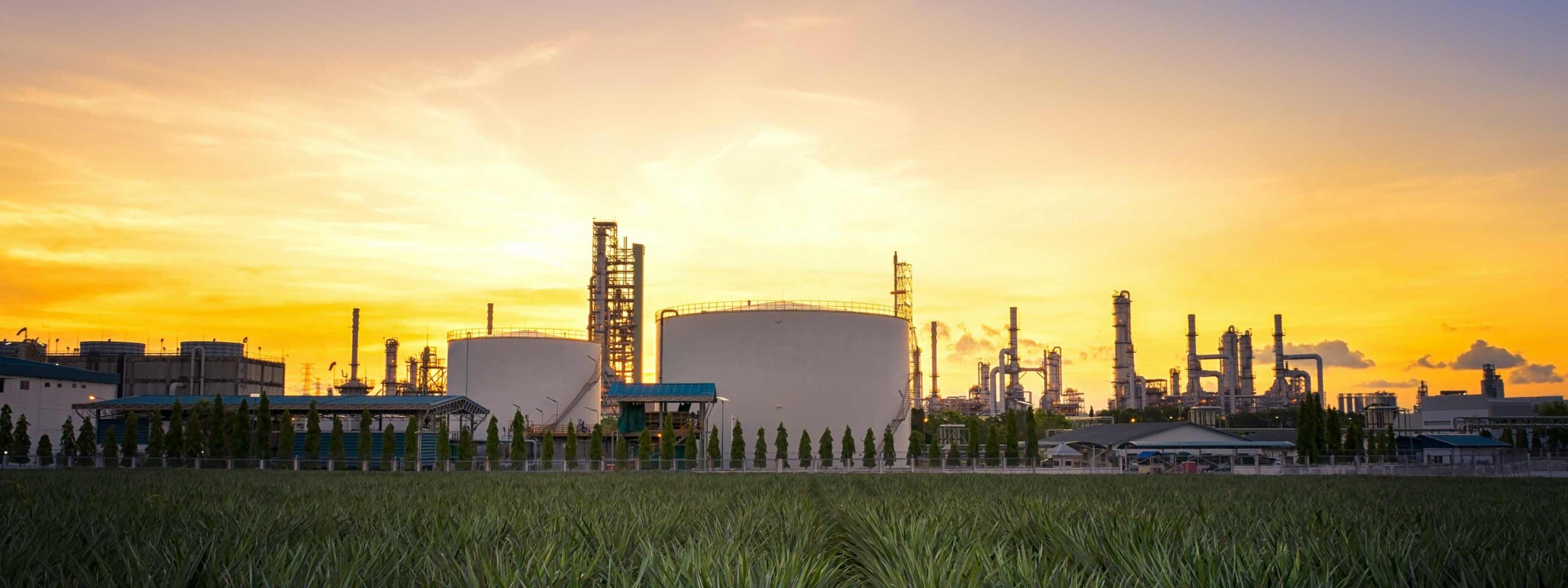 Reducing Global Carbon Emissions