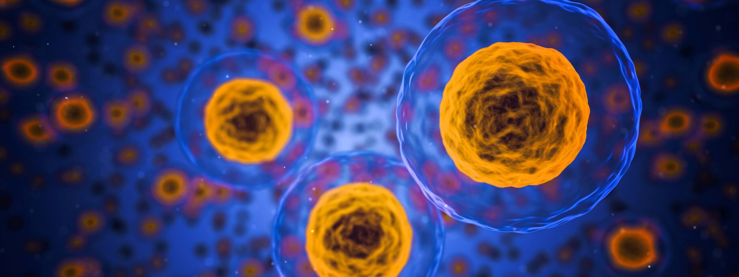 Deciphering Biological Complexity