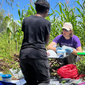 The ROSALIND Breakthrough: Fluorescent RNA as a Global Health Tool